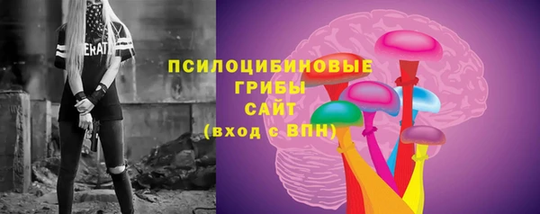 Альфа ПВП Абаза