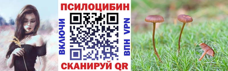 сайты даркнета клад  мега ссылки  Алатырь  Псилоцибиновые грибы мицелий 